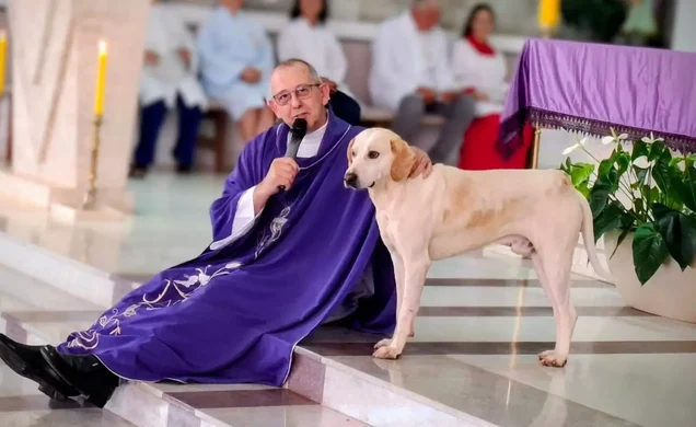 Presença de cachorrinho tem se tornado frequente e conquistou fiéis. Foto: Reprodução/Internet.