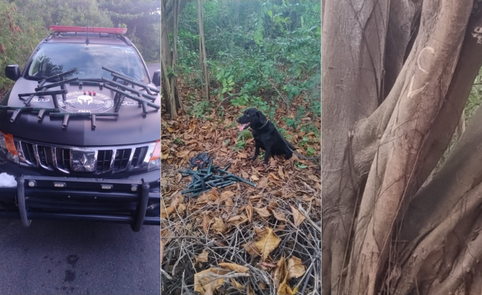 Armas artesanais calibre 12 foram apreendidas e levadas à Central de Flagrantes