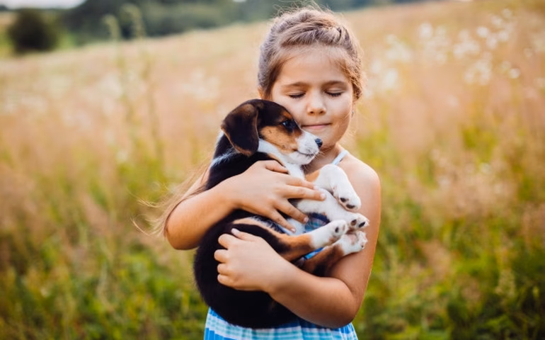 China terá quase o dobro do número de pets em relação ao de crianças pequenas até 2030, diz estudo