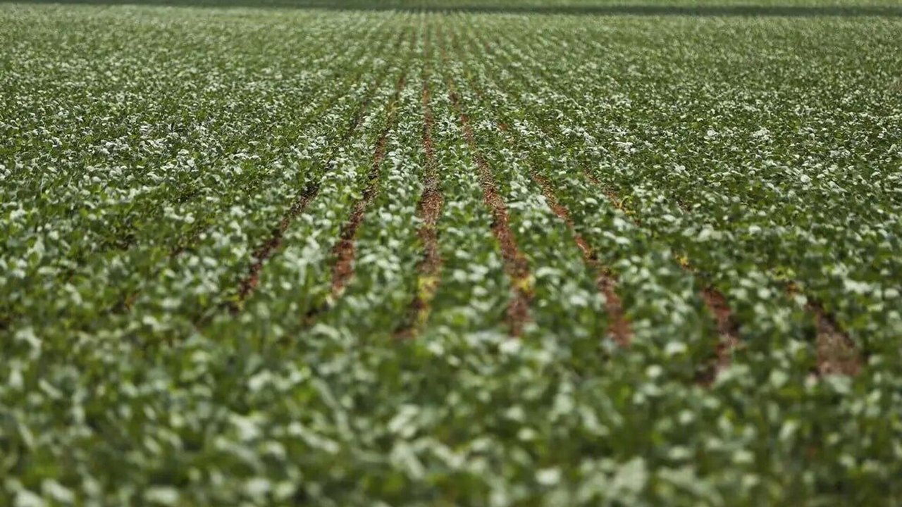 Parceria entre BNDES e governo da Bahia destina R$ 299 milhões à agricultura familiar no semiárido