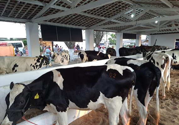 Último dia da 39ª Expo Bacia será marcado por visita de autoridades e premiações