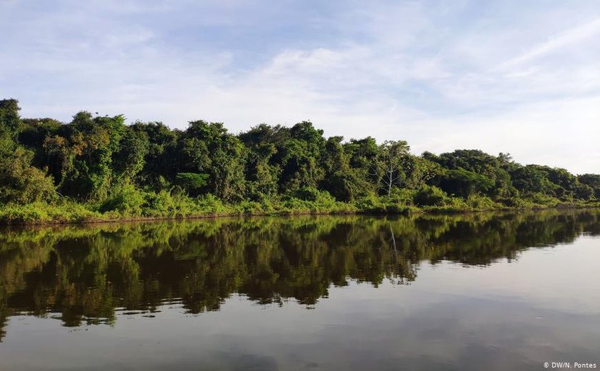 Terras indígenas e protegidas são as que menos emitem carbono na Amazônia