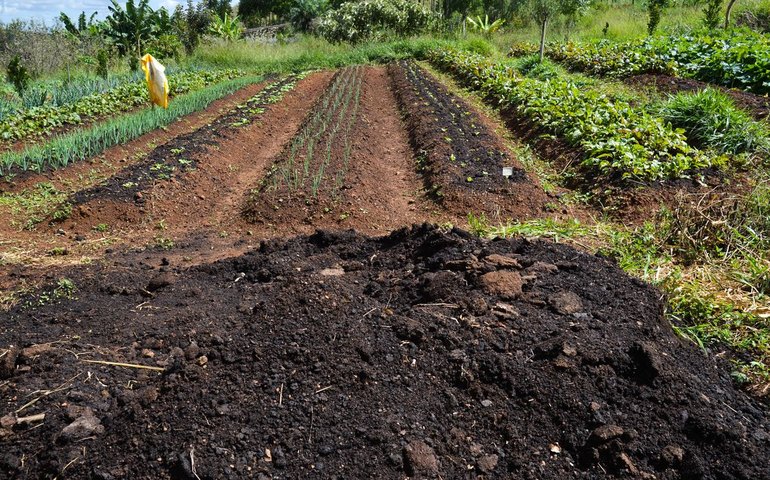 CMN amplia socorro a produtores afetados pelo clima