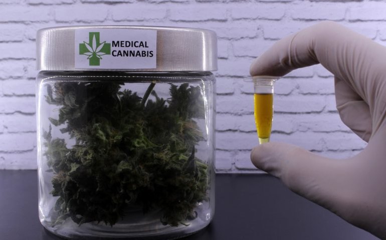Comisão debate uso da Cannabis para fins medicinais
