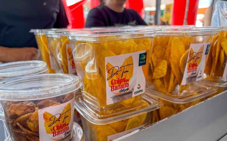 Força do campo: cooperativa alagoana é destaque nas feiras da agricultura familiar