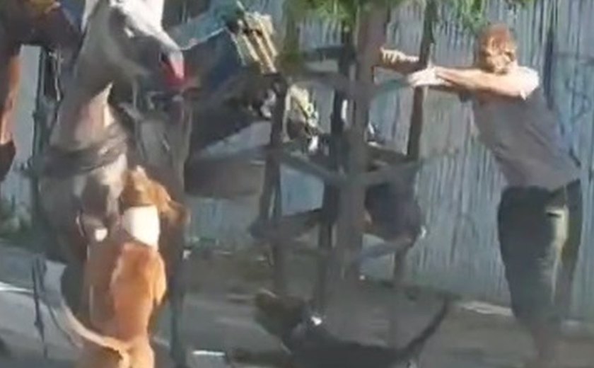 Pitbulls atacam cavalos na parte alta de Maceió