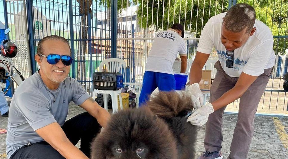 vacina animais / Foto: Foto: Ascom/SMS