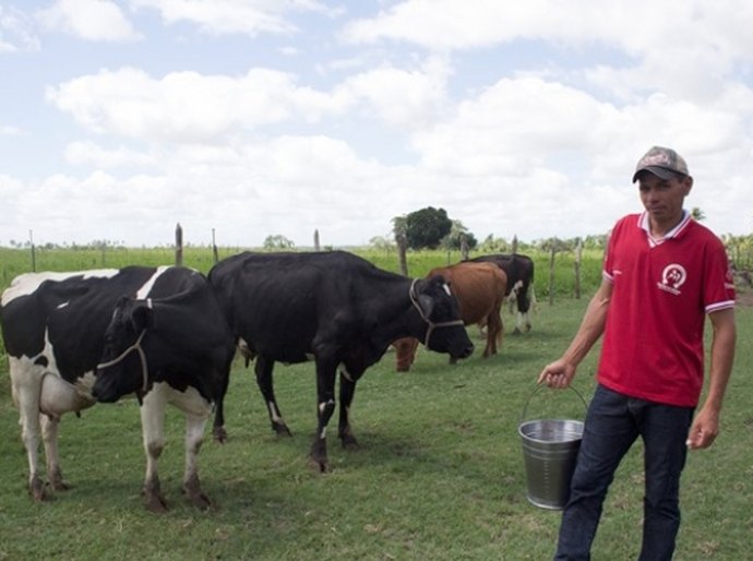 Fomento da Desenvolve ajuda pequeno produtor de leite