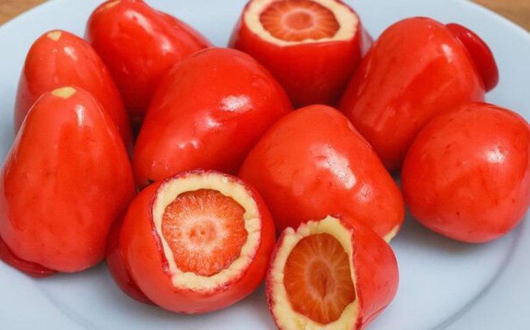 Conselho Federal de Odontologia alerta sobre riscos do morango do amor