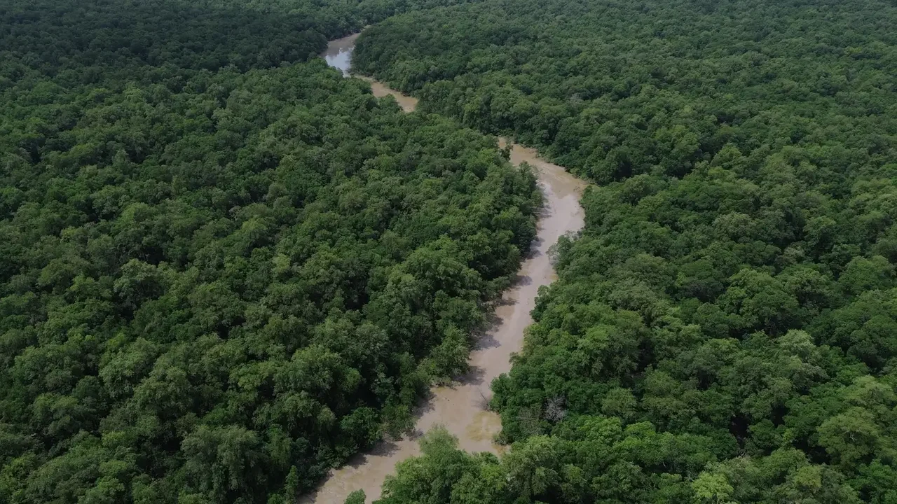 Amazônia tem menor área sob alerta de desmatamento da série histórica; Cerrado, a menor em cinco anos