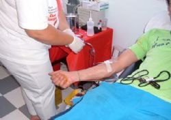 Doar sangue