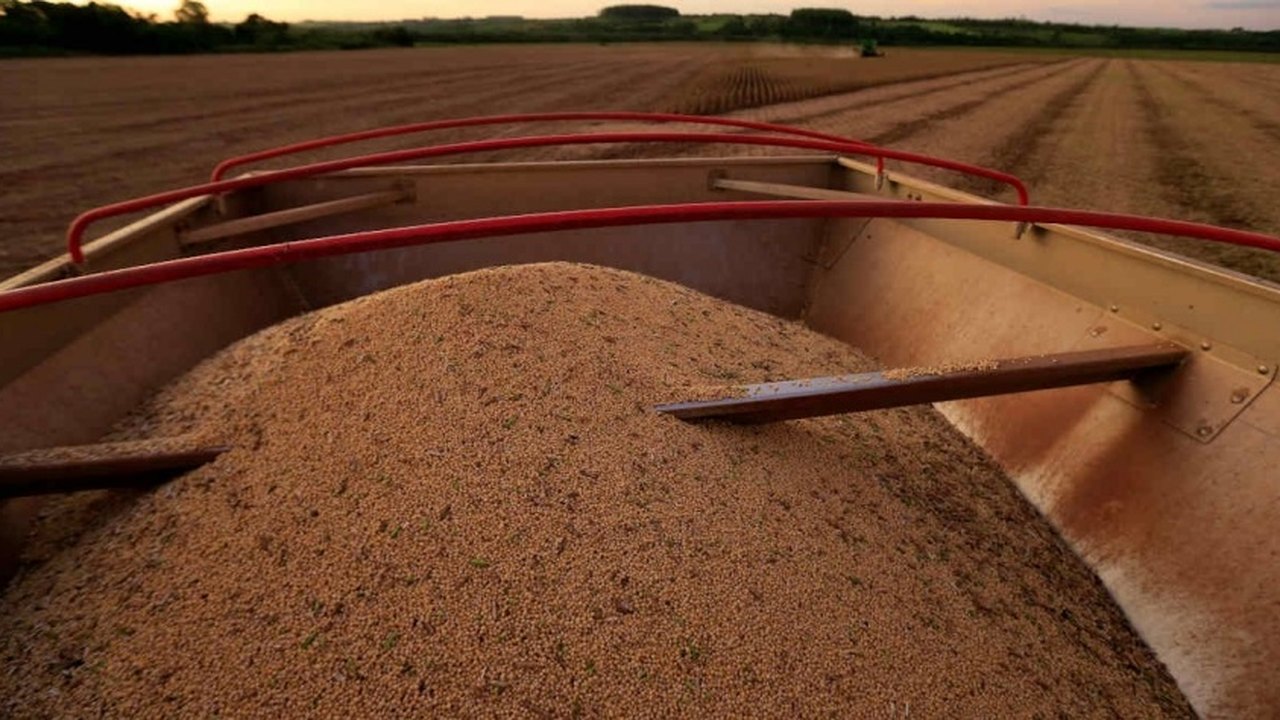 Safrinha leva agronegócio a recorde