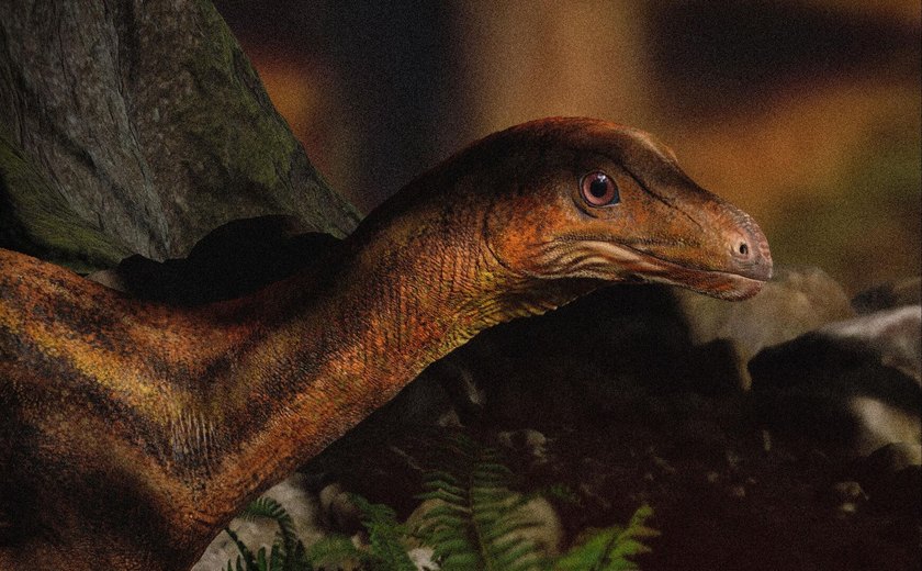 Nova descoberta revela, pela primeira vez, face de dinossauro brasileiro conhecido há 25 anos