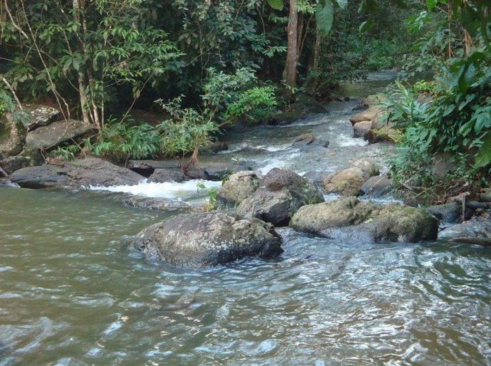 Preservação do Meio Ambiente é tema de audiência pública na Assembleia