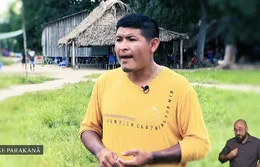 Apyterewa, tempo de reocupar | Caminhos da Reportagem