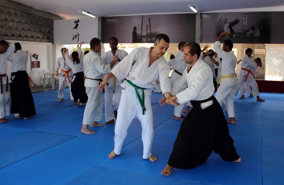 budo