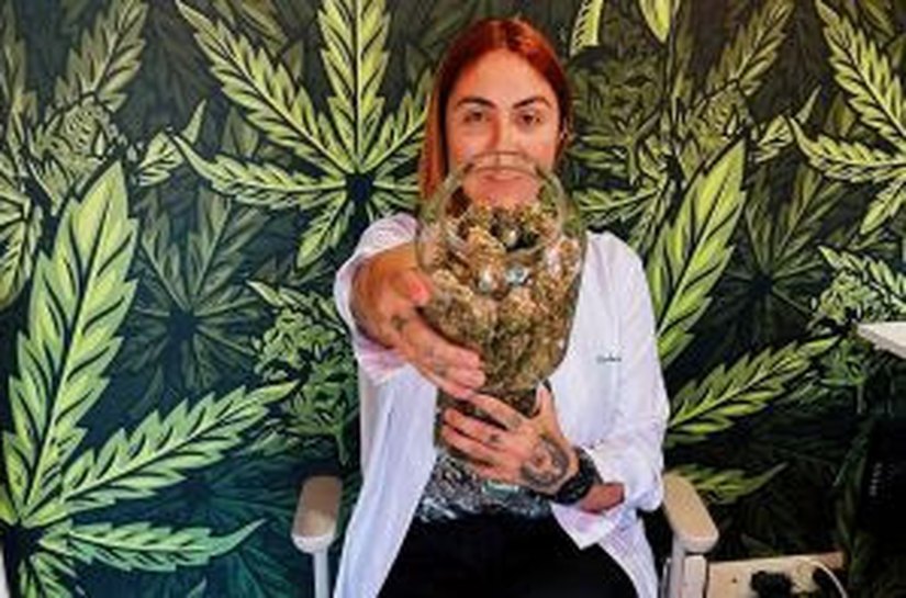 Quando existe propósito, a gente não para: Anvisa dá passo histórico para uso da cannabis medicinal no Brasil