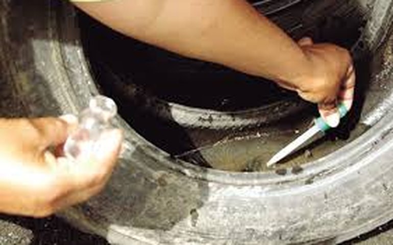 Secretaria de Saúde de Maceió divulga programação do Dia “D” de combate à dengue