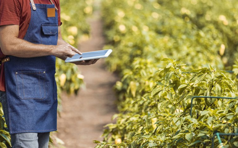 Programa de inovação deve atender 330 propriedades rurais em Alagoas