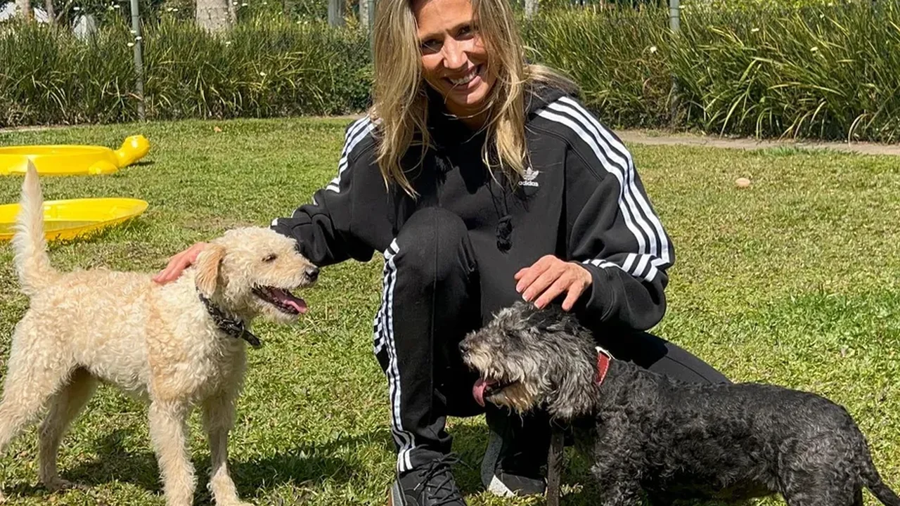 Instituto Luisa Mell muda nome e diz que apresentadora nunca fez doação; ela fala em 'golpe'