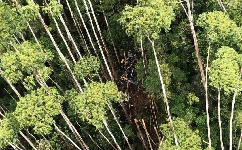 Vítimas de queda de helicóptero são retiradas de local do acidente