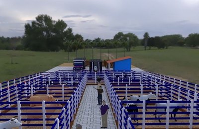 Projeto do novo curral de gado de São Sebastião é chancelado e aprovado pela Adeal 