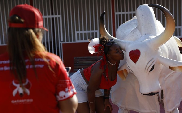 Garantido ou Caprichoso? Começa Festival de Paritins