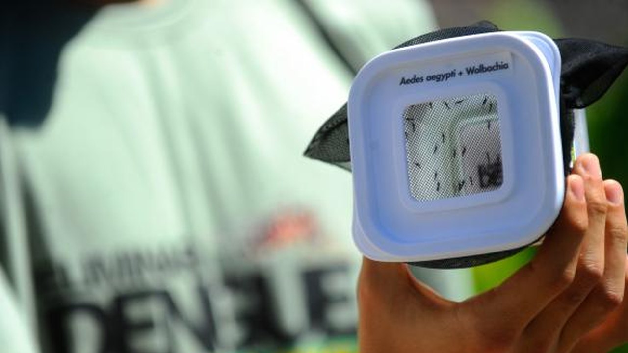 Saúde libera recursos para prevenção e controle da dengue e da chikungunya