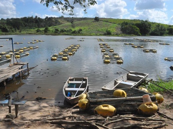 Programa da Agricultura encerra 2015 com 1,5 milhão de alevinos distribuídos