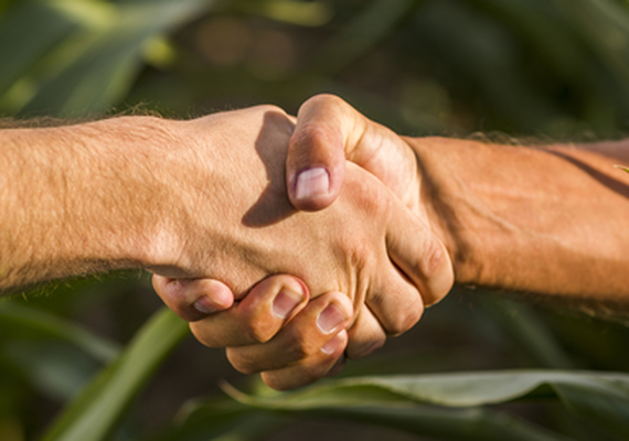 Maceió recebe encontro estadual para debater futuro do cooperativismo