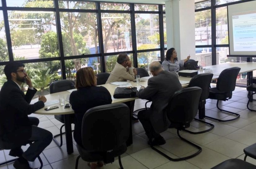 Comissão Mista Especial do Bicentenário se reúne para alinhar propostas