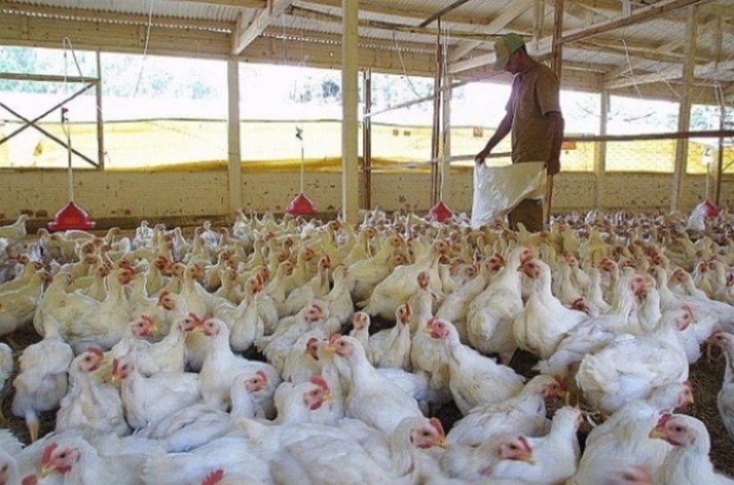 Ações de interiorização fortalecem a produção rural no Sertão