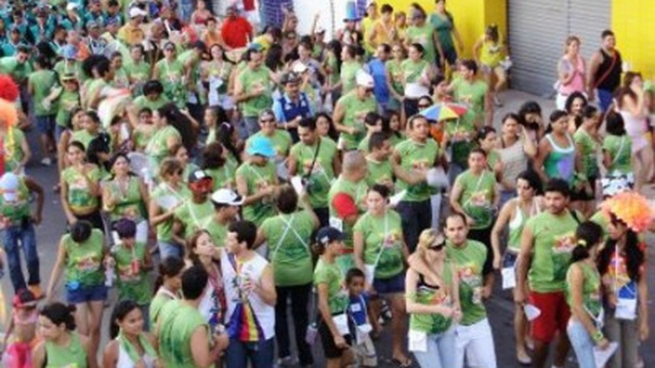 Arapiraca: Bloco Tô Seguro leva conscientização para o Folia de Rua 2015
