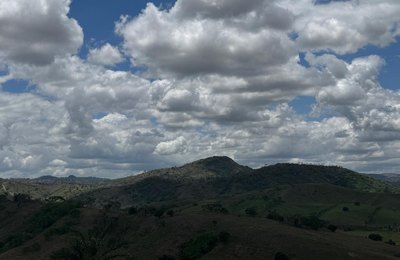 Verde Alagoas promove trilha ecológica, palestras e oficinas no mês do meio ambiente