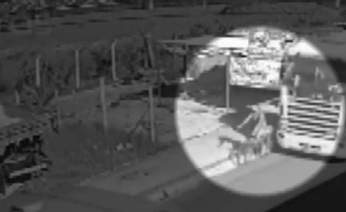 Maria Eduarda Viana, de 15 anos, morreu após ser atropelada por uma carreta em Maceió Maria Eduarda Viana, de 15 anos, morreu após ser atropelada por uma carreta em Maceió