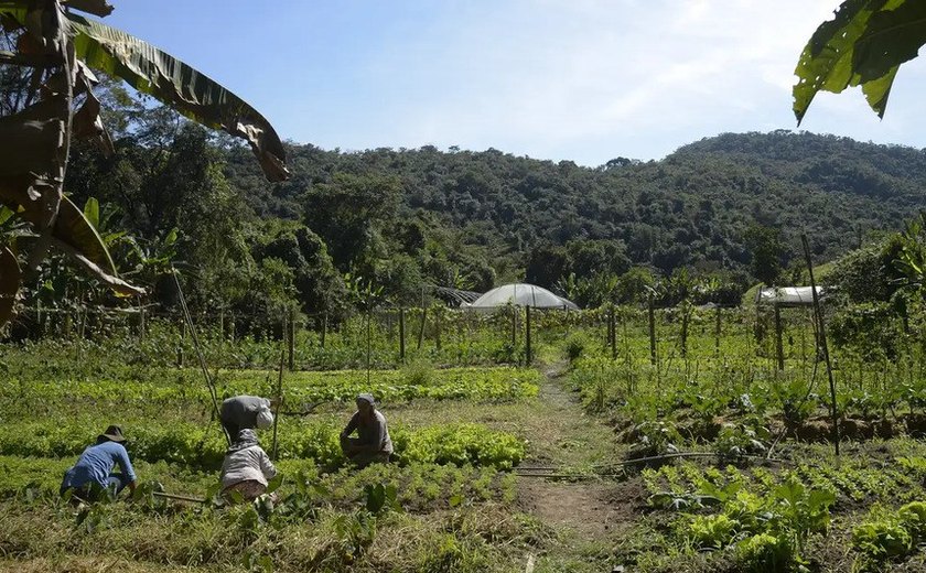 Incentivo à permanência de jovens no campo está na pauta da CRA