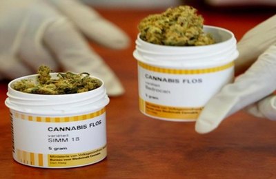 Maconha Legal! Portugal liberal, após legalizar o uso medicinal, marcha para normatizar o uso recreativo