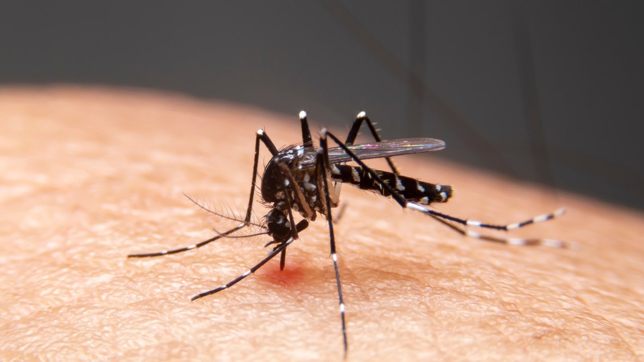 Mudanças climáticas causam aumento de doenças infecciosas no Brasil