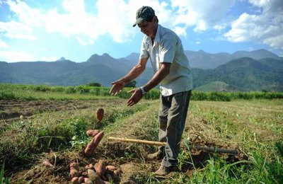 Agricultores do Nordeste podem renegociar dívidas contraídas até 2016