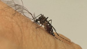 DENGUE FOTO FIOCRUZ