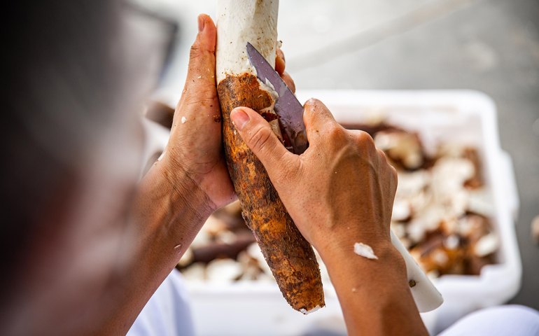 Sedics destaca a importância do cooperativismo e impacto na sociedade