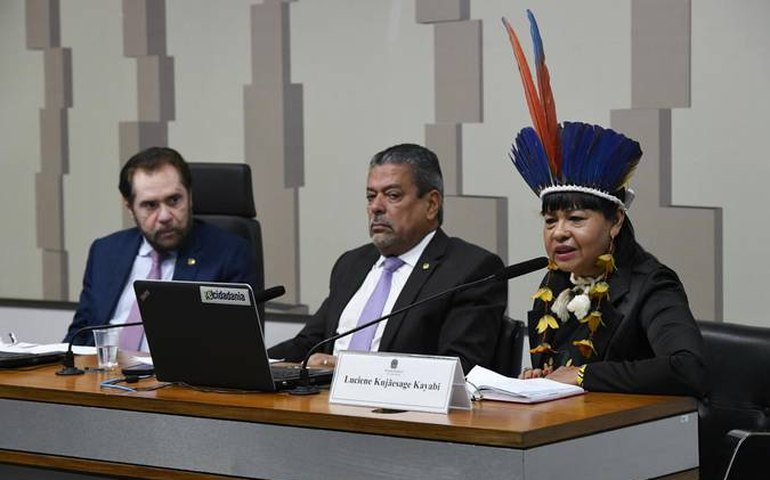 CPI das ONGs ouve mais lideranças indígenas