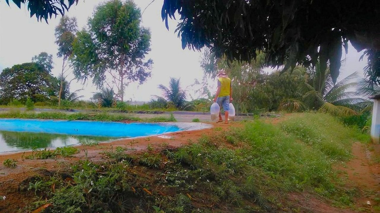 Emater capacita piscicultores na produção de tilápia em Estrela de Alagoas