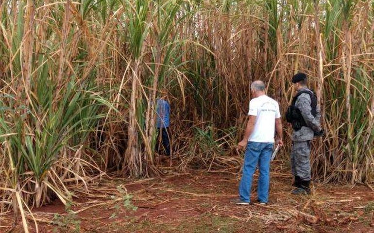 Ativista de direitos das mulheres é encontrada morta em canavial de El Salvador