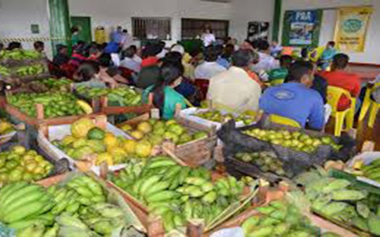 Estado potencializa Programa de Aquisição de Alimentos a 800 famílias