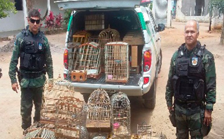 Operação Corpus Christi da Polícia Rodoviária inclui ações do Maio Amarelo