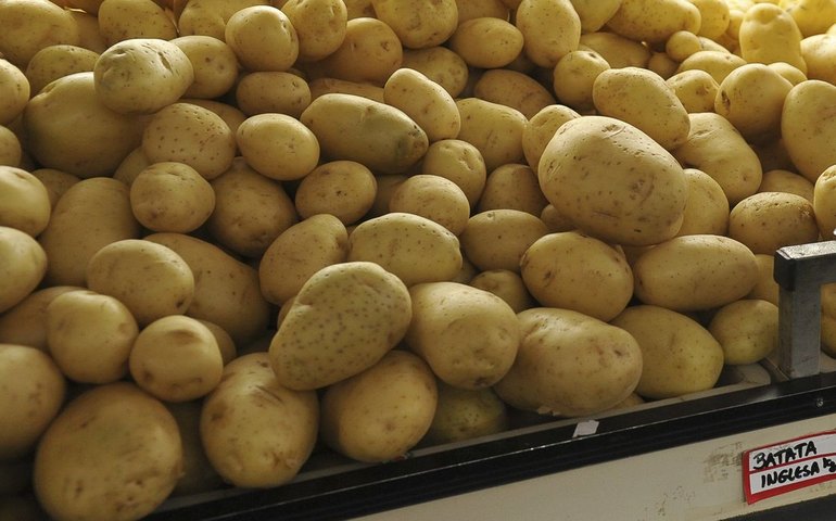 Índice que mede inflação oficial tem deflação em agosto