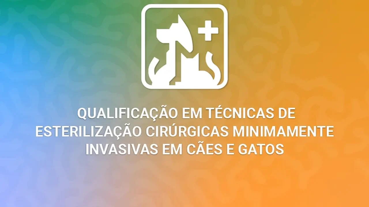 Inscrições abertas para curso de qualificação em esterilização de cães e gatos