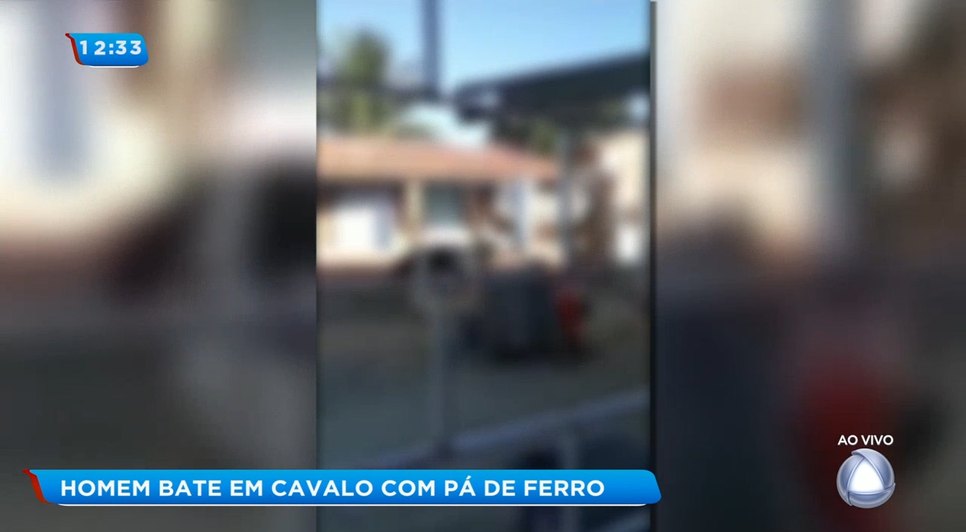 Cavalo