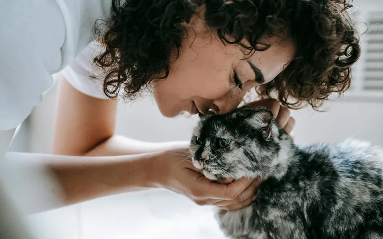 Orientação comportamental ganha espaço no cuidado com pets